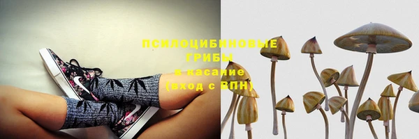 мдпв Магадан