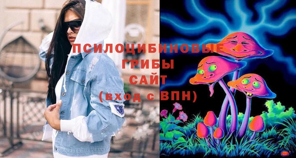 ECSTASY Майский