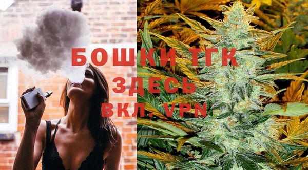ECSTASY Майский