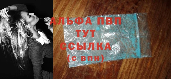 ECSTASY Майский